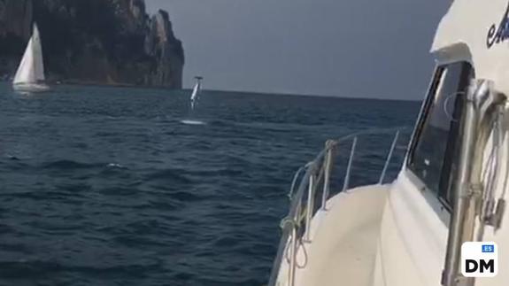 Fotograma del vídeo en que los delfines hacen acrobacias en la bahía de Santoña