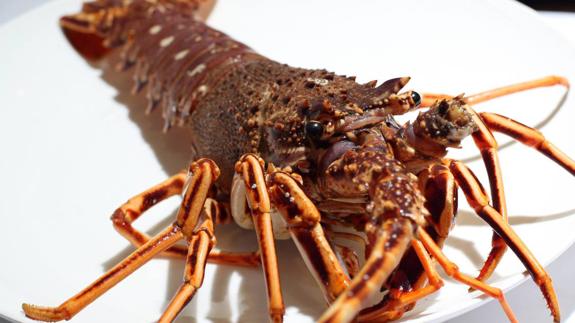 Los mariscos españoles son, en general, los mejores del mundo
