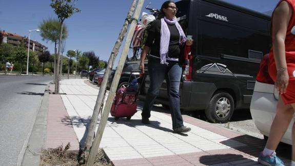 Los vándalos se hdebaron en junio con los árboles situados en la avenida de Riomar. 