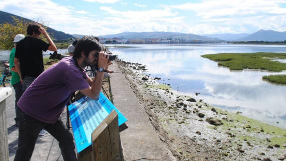 Aficionados viendo aves en las Marismas de Santoña.