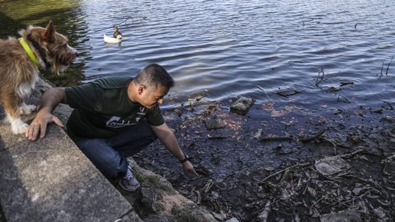 Una de las orillas del estanque de La Cantábrica, donde han muerto cuatro patos.