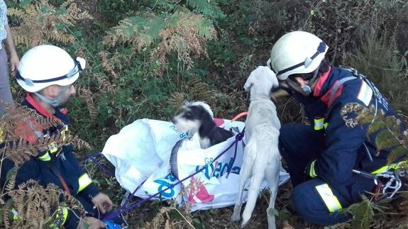 Los bomberos bajaron en la sima vertical y lograron rescatar a los dos perros.