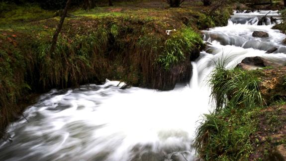 Río Besaya, a su paso por el parque de La Viesca.