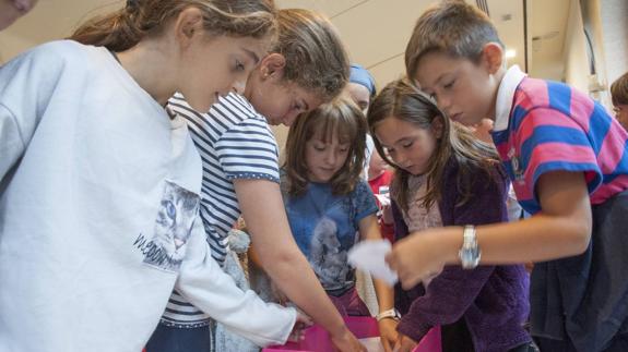 Niños participantes en el Festivaluco.