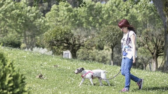 Camargo financia la mitad del precio de los microchips para animales de compañía