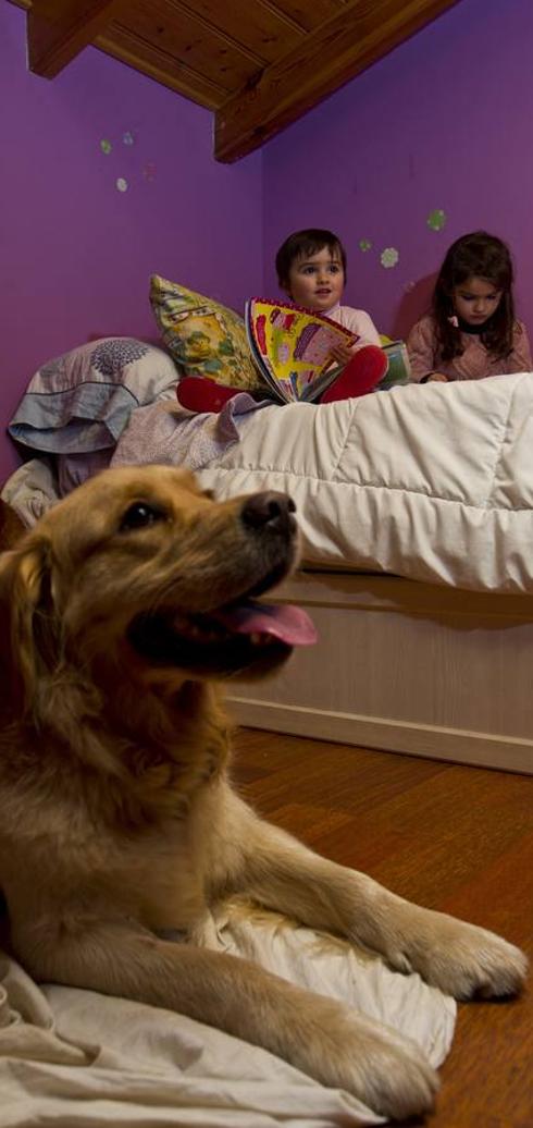 Ilka, una de las golden retriever de la familia, junto a la cama de Clara y de su hermana, Paula