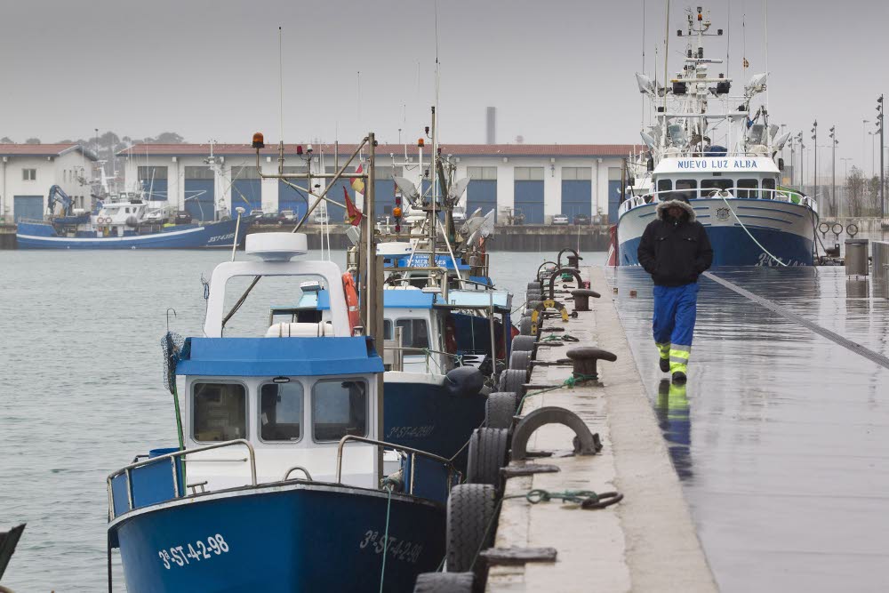 Las industrias pesqueras, las más numerosas en Cantabria.