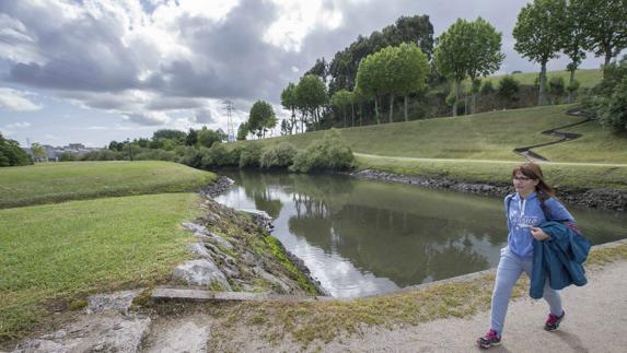 La ría del Carmen podrá descontaminarse en diez años gracias a la técnica de fitorremediación con carrizo.