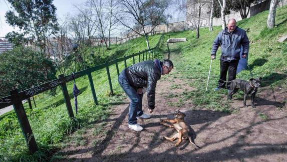 Espacios públicos para esparcimiento canino en Santander, y las quejas de los usuarios.