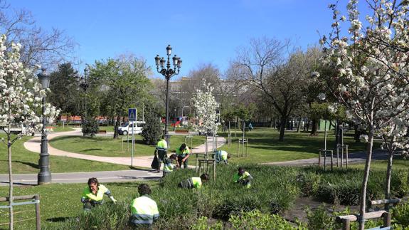 Un grupo de empleados de parques y jardines trabaja en uno de los macizos del parque para mejorar la jardinería