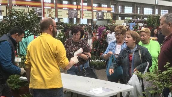 El Mercado de Ganados se convierte en un inmenso vivero