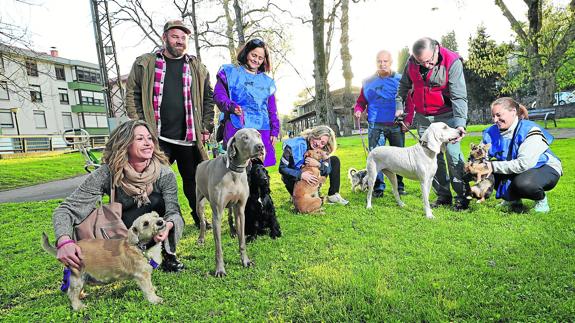 Varios propietarios de perros, con sus canes, acuden cada viernes al programa de educación canida impulsado por el Ayuntamiento.