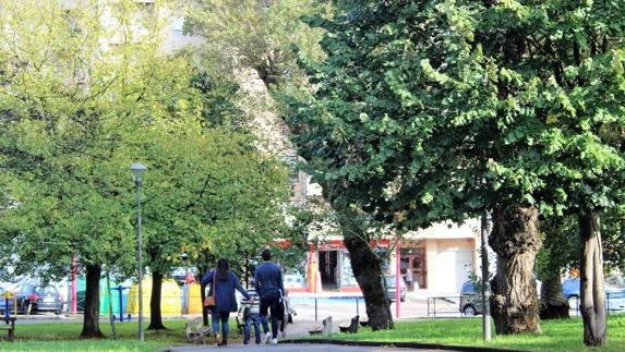 El Parque de El Ferial es uno de los puntos más afectados por la falta de civismo ciudadana al cuidado de animales