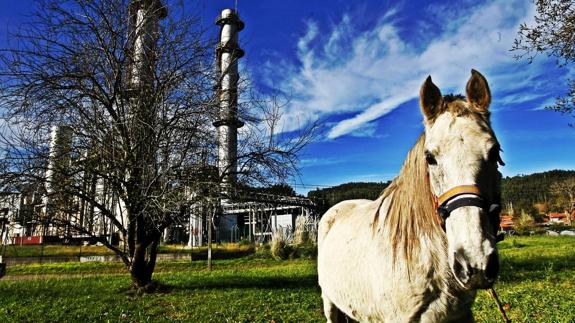 Sniace prevé reabrir la planta de fibras en octubre