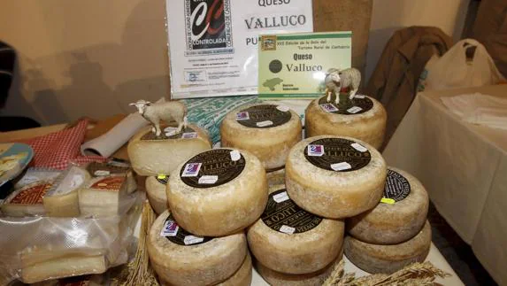 El queso Valluco se elabora en Valderredible. 