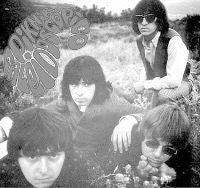 Los Negativos 'Piknik caleidoscópico' (Mushroom Pillow)