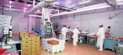 La comercialización de la carne es una de las actividades de la cooperativa cántabra. / SANE
