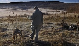 Perros adiestrados rastrean Valdeolea a la caza del envenenador de animales