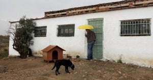 El cuerpo del empresario torrelaveguense apareció en una nave situada en Bacarot (Alicante). ::                             ALEZ DOMÍNGUEZ