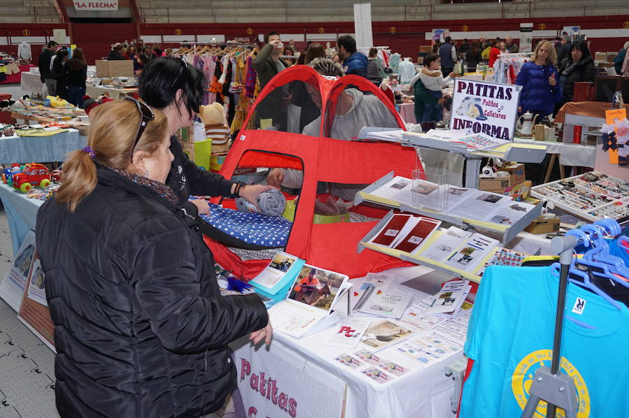 Fotos: Mercado de Arroyo de abril