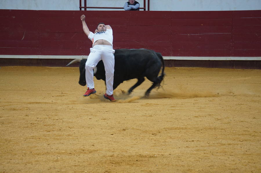 Fotos: Concurso de Cortes de La Flecha