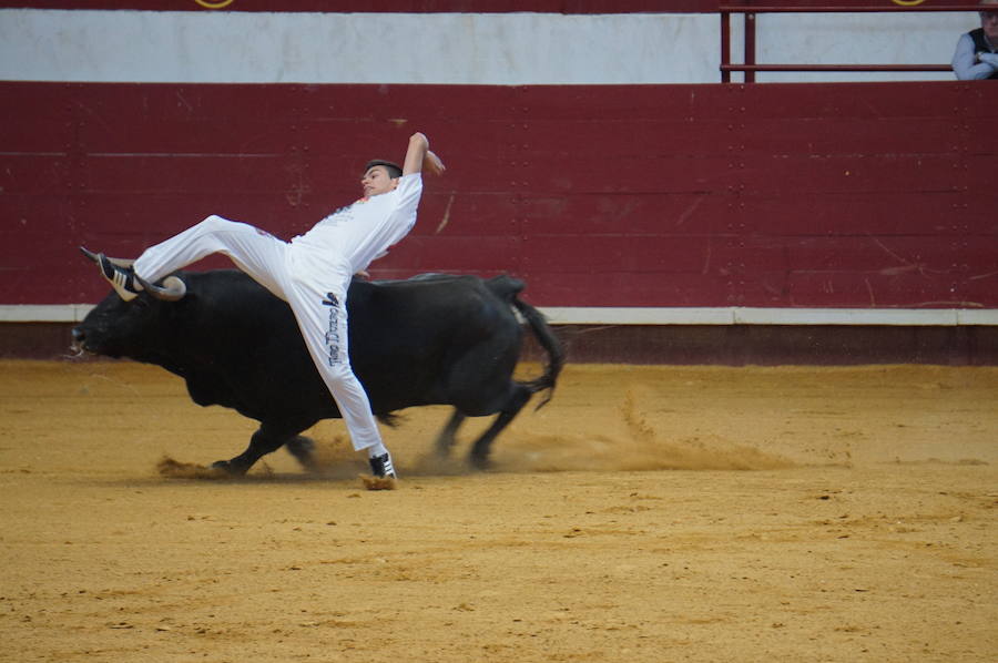 Fotos: Concurso de Cortes de La Flecha