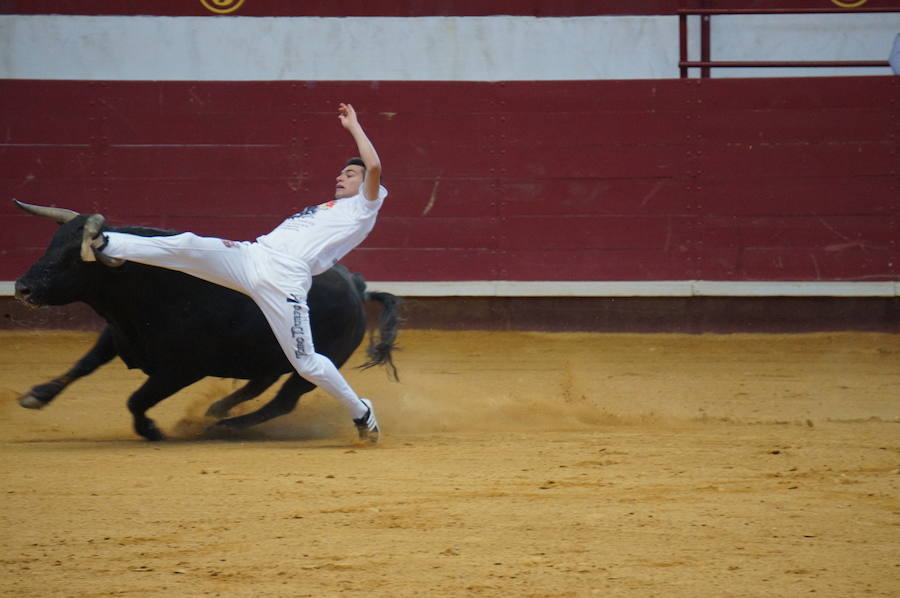 Fotos: Concurso de Cortes de La Flecha