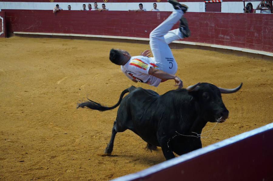 Fotos: Concurso de Cortes de La Flecha