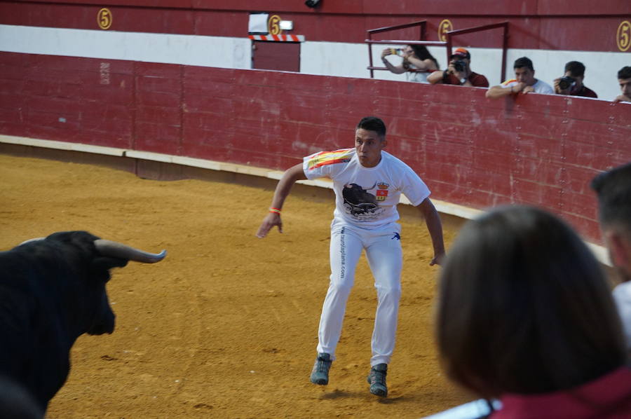 Fotos: Concurso de Cortes de La Flecha