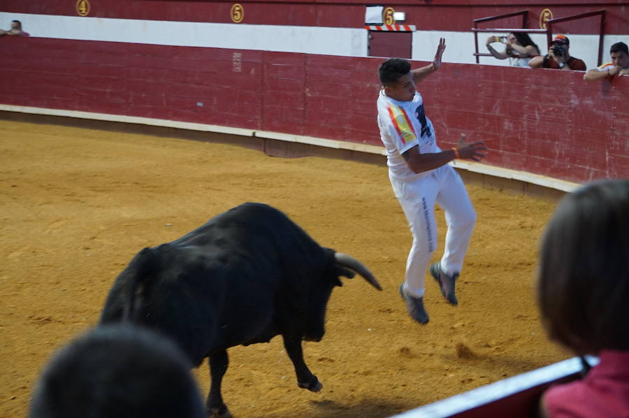 Fotos: Concurso de Cortes de La Flecha