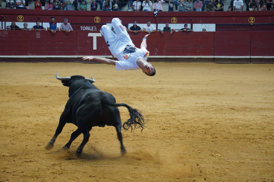 Fotos: Concurso de Cortes de La Flecha