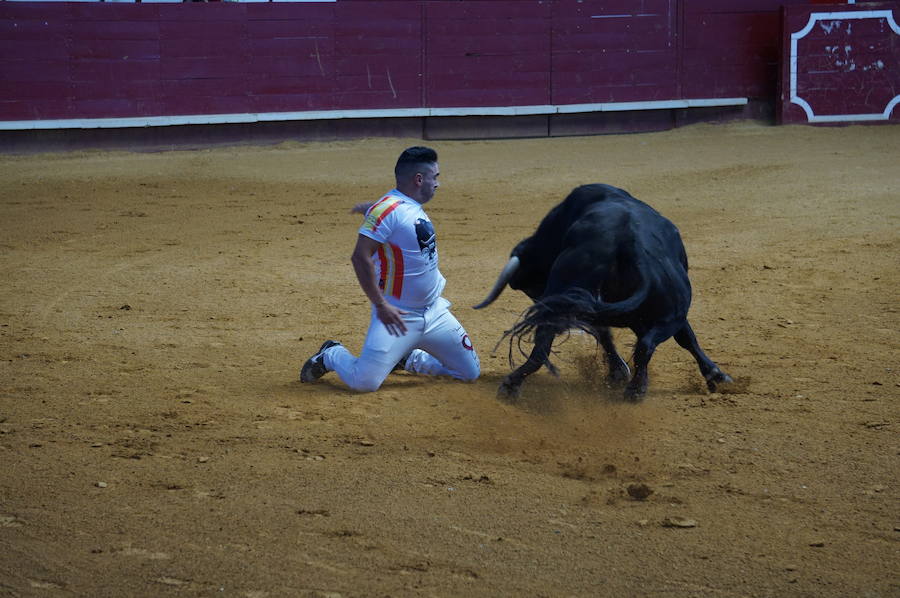 Fotos: Concurso de Cortes de La Flecha