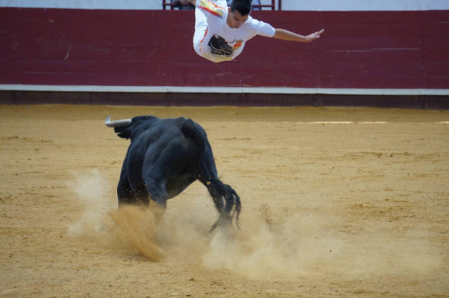 Fotos: Concurso de Cortes de La Flecha