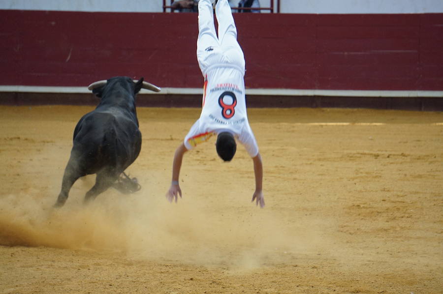 Fotos: Concurso de Cortes de La Flecha