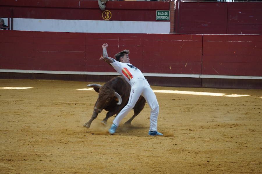 Fotos: Concurso de Cortes de La Flecha