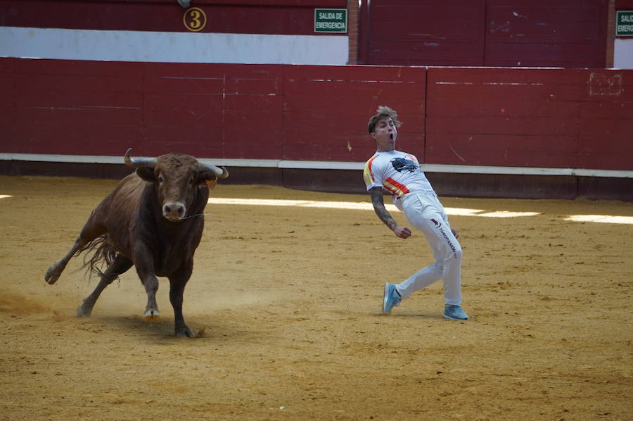 Fotos: Concurso de Cortes de La Flecha