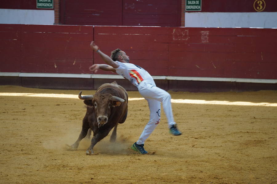 Fotos: Concurso de Cortes de La Flecha