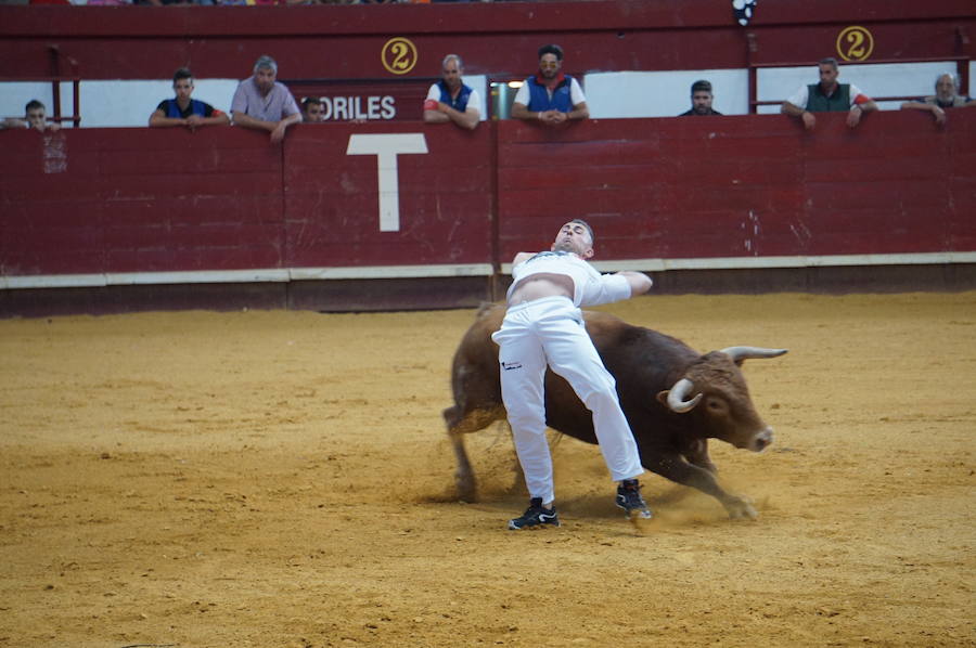 Fotos: Concurso de Cortes de La Flecha