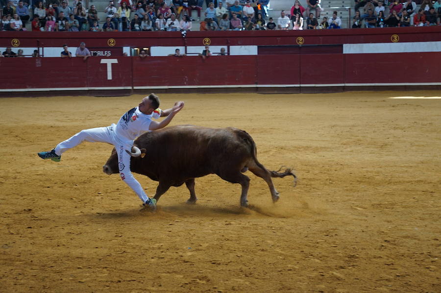 Fotos: Concurso de Cortes de La Flecha