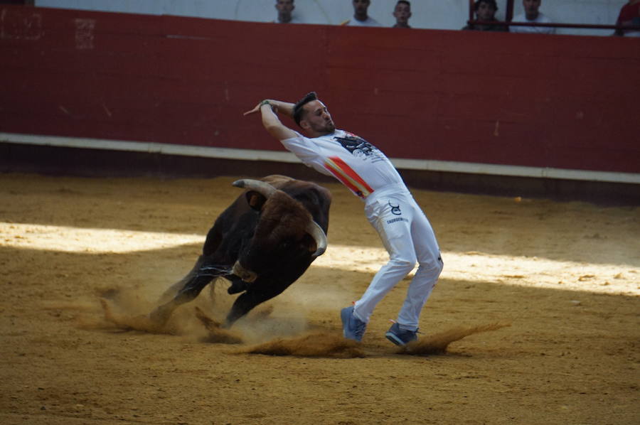 Fotos: Concurso de Cortes de La Flecha