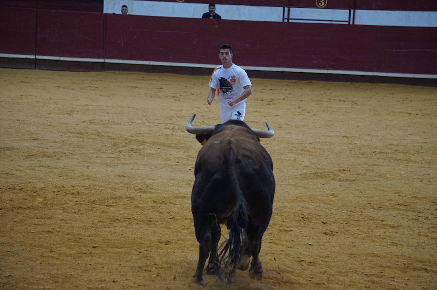 Fotos: Concurso de Cortes de La Flecha