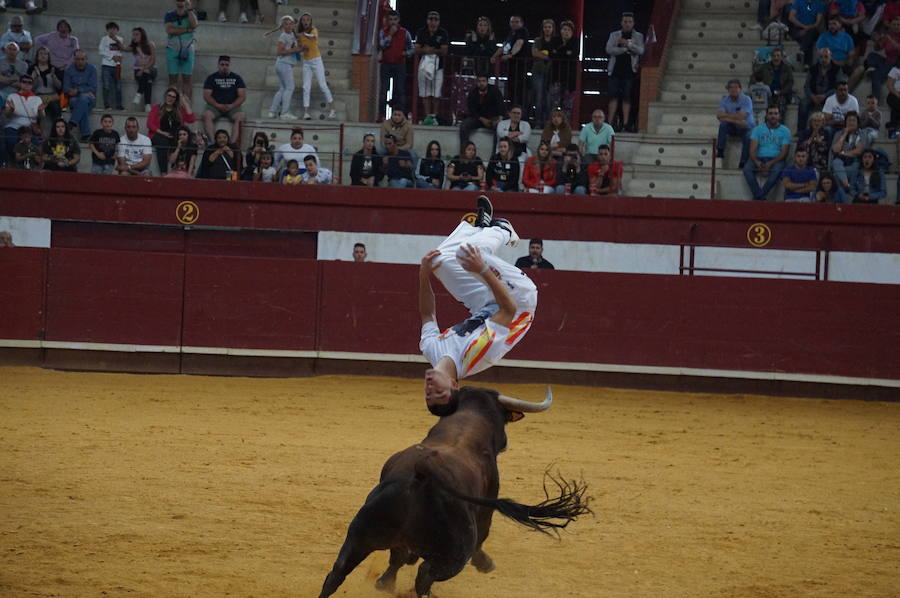 Fotos: Concurso de Cortes de La Flecha