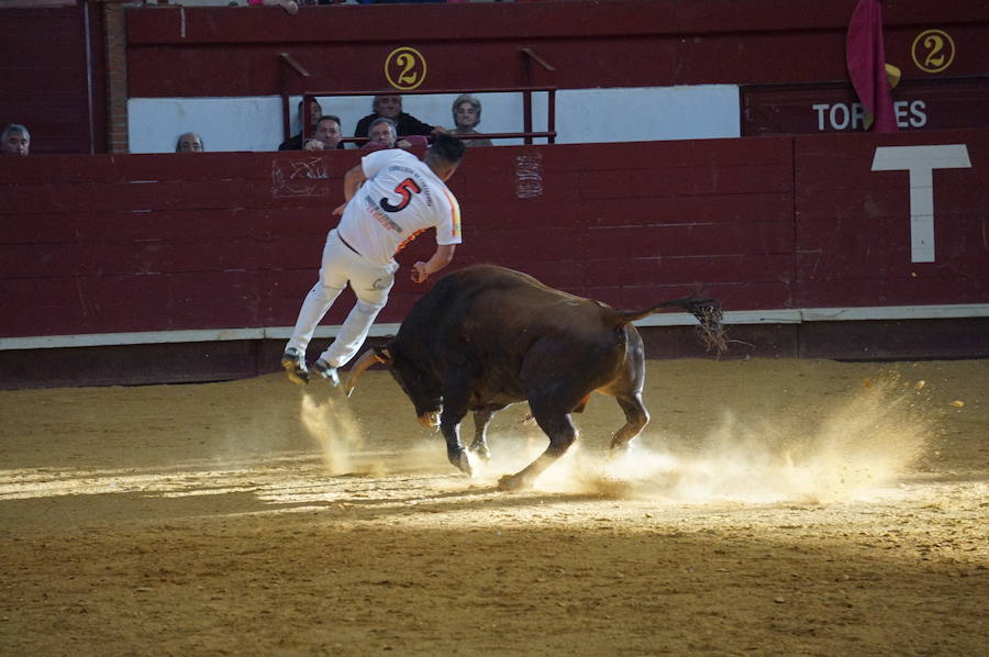 Fotos: Concurso de Cortes de La Flecha