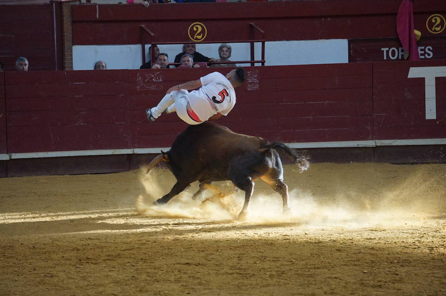 Fotos: Concurso de Cortes de La Flecha