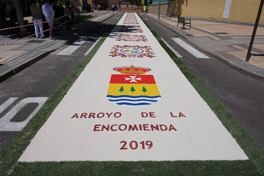Fotos: Procesión de San Antonio de Padue en La Flecha
