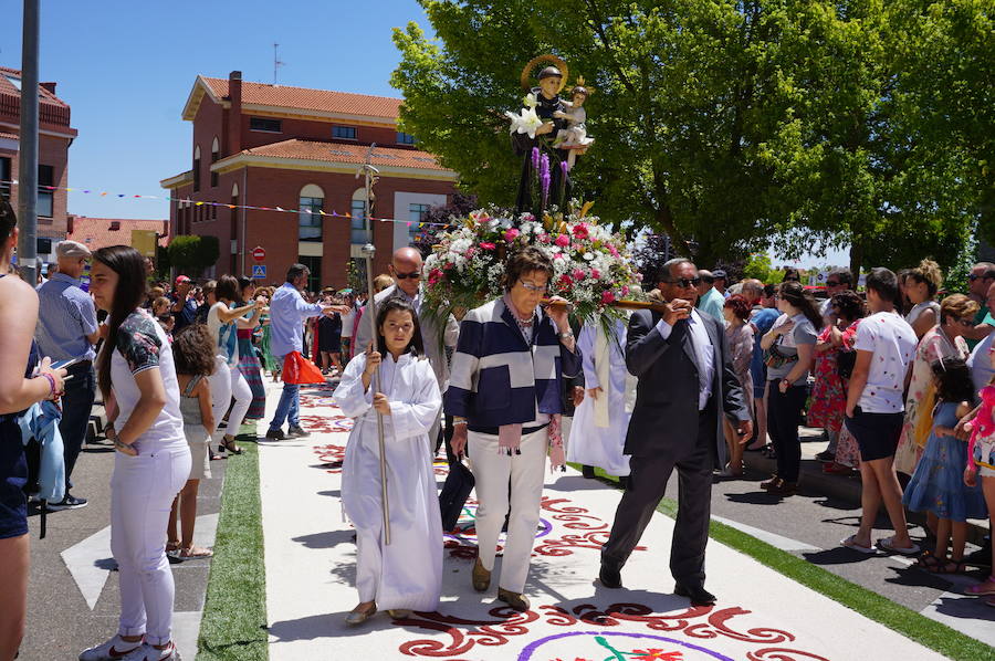 Fotos: Procesión de San Antonio de Padue en La Flecha