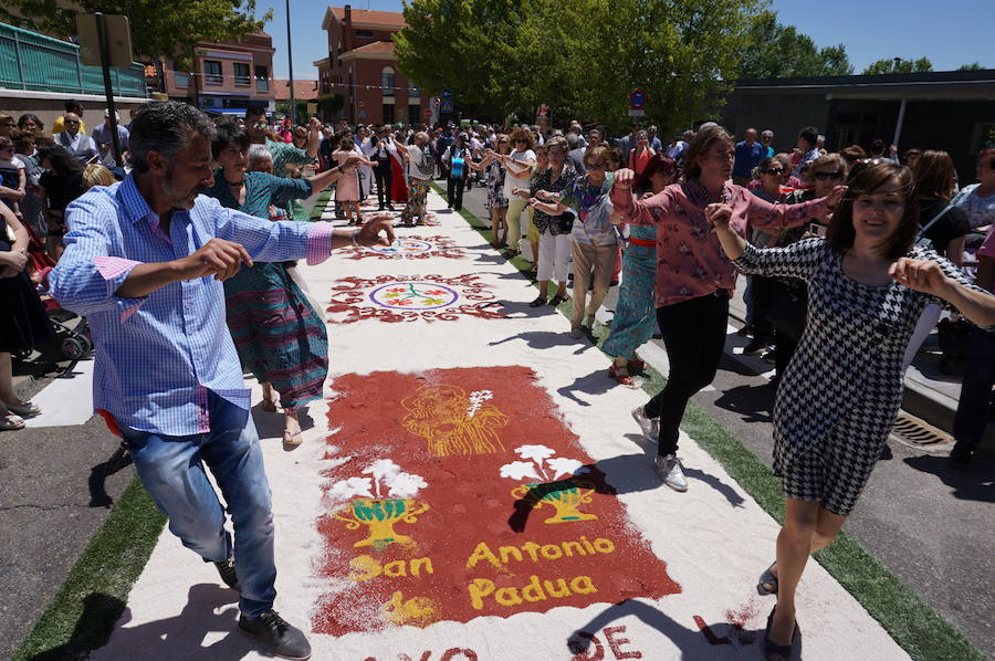 Fotos: Procesión de San Antonio de Padue en La Flecha