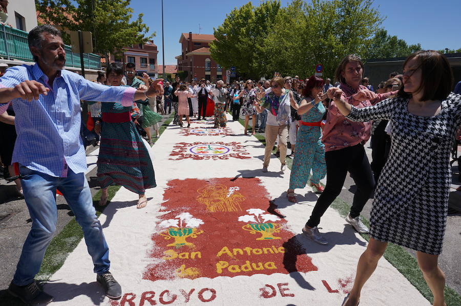 Fotos: Procesión de San Antonio de Padue en La Flecha