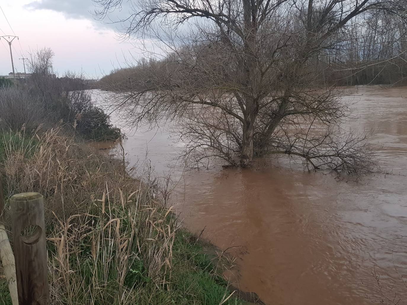 Fotos: Las consecuencias del temporal a su paso por Arroyo