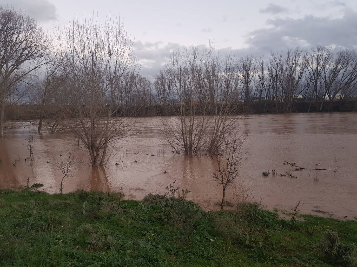 Fotos: Las consecuencias del temporal a su paso por Arroyo